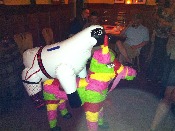 IMG_0787.JPG