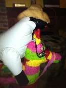 IMG_0835.JPG
