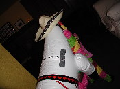 P1010340.JPG