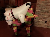 IMG_2219.jpeg
